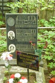 Левинштад Владимир Ильич, Москва, Востряковское кладбище